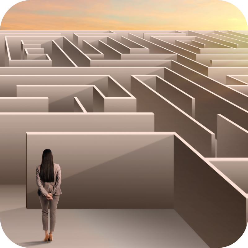 Samenwerking met de meest gekend-11