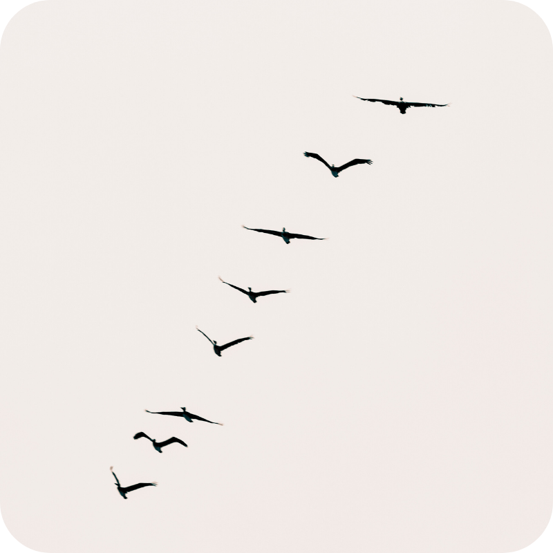 Untitled design-13 Untitled design-13